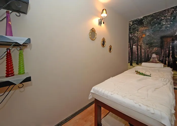 酒店 我的梦大酒店 3*