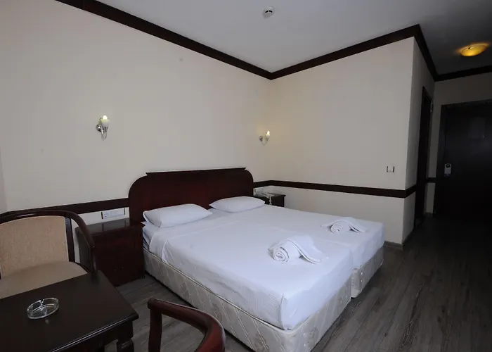 酒店 我的梦大酒店 3*