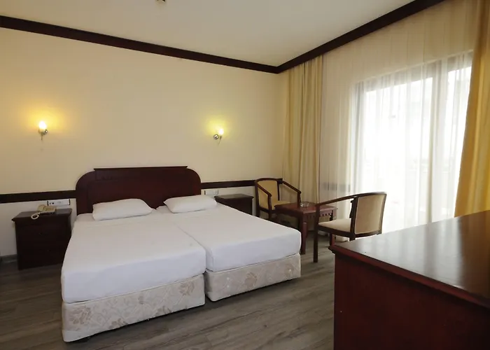 我的梦大酒店 酒店 3*