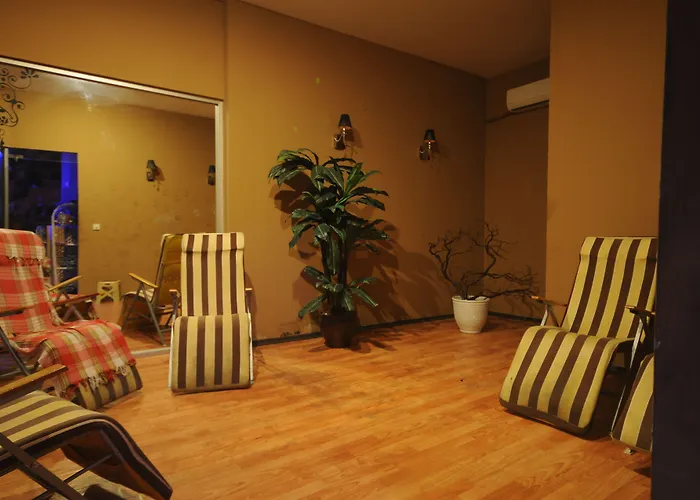 酒店 我的梦大酒店 马尔马里斯