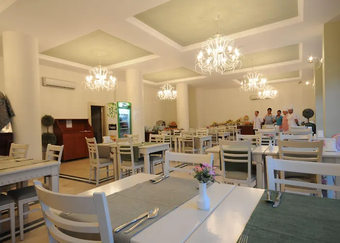 酒店 我的梦大酒店 3*