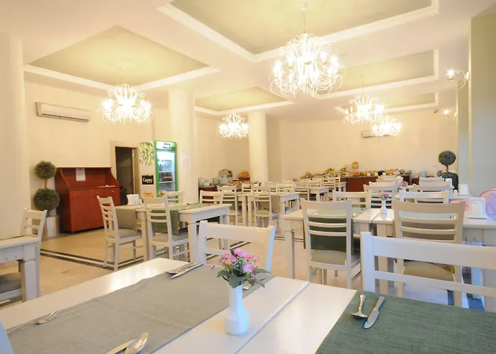 酒店 我的梦大酒店