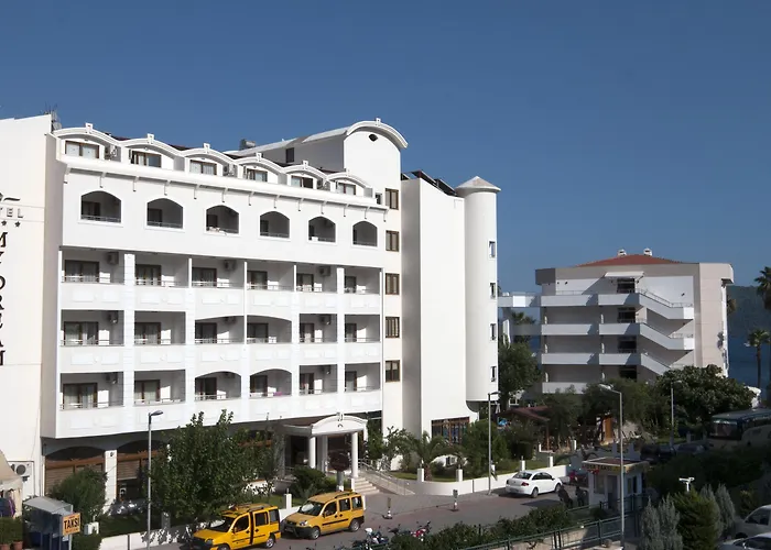 我的梦大酒店 酒店