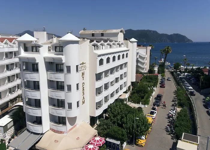 酒店 我的梦大酒店