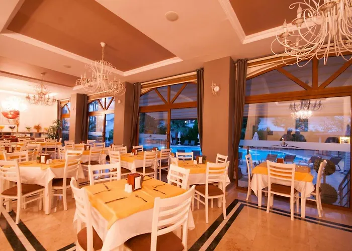 我的梦大酒店 酒店