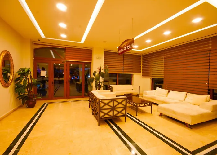 酒店 我的梦大酒店 3*